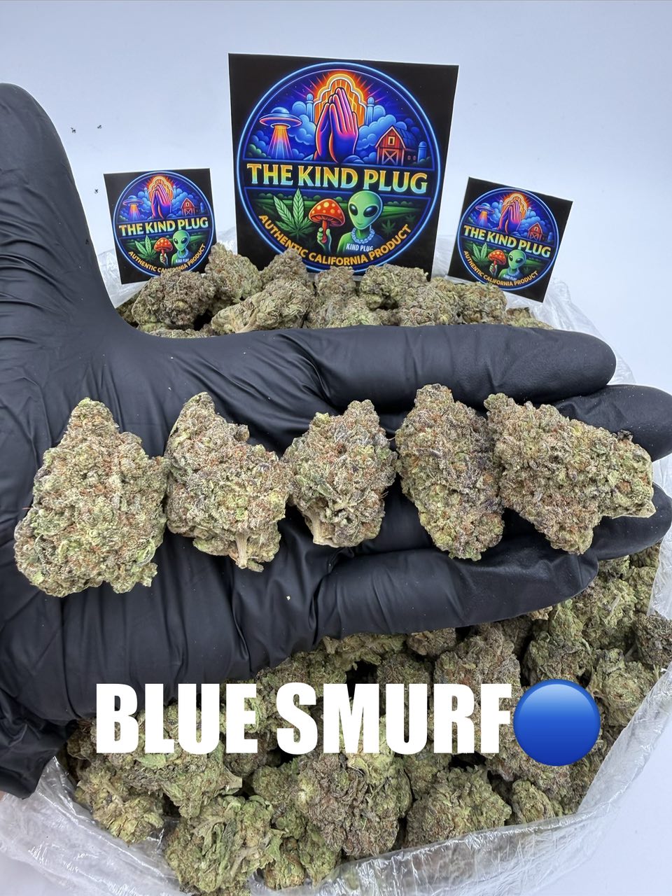 BLUE SMURF Slide 2