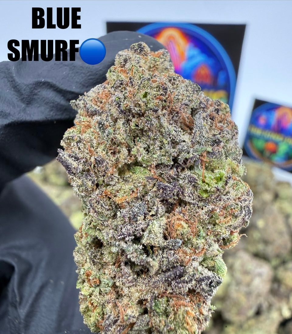 BLUE SMURF Slide 3