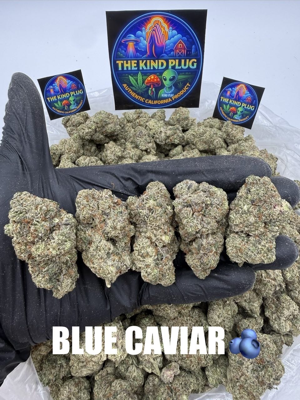 BLUE CAVIAR Slide 1