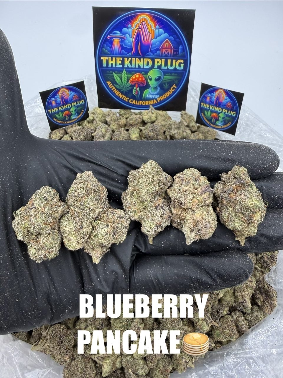 BLUEBERRY PANCAKE Slide 1