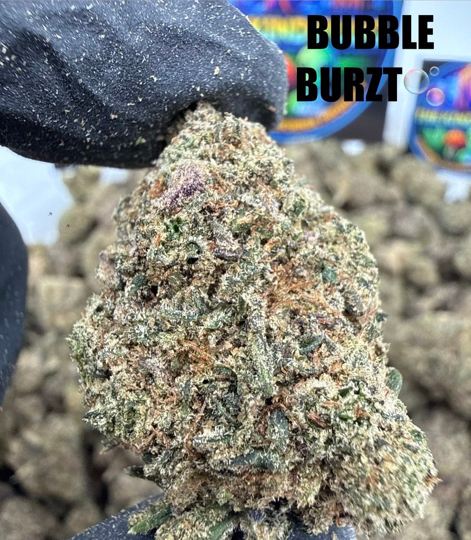 BUBBLE BURTZ Slide 3