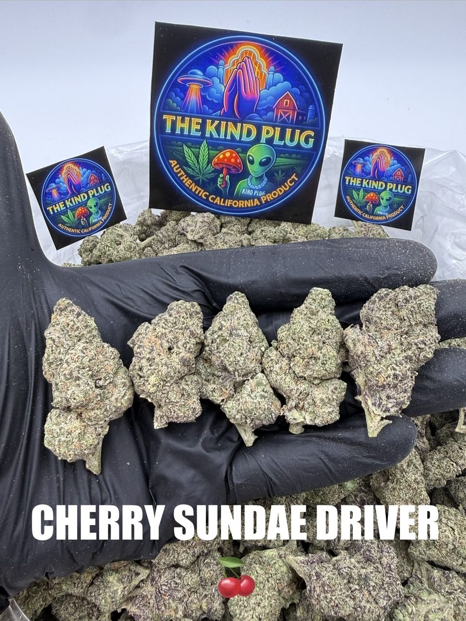 CHERRY SUNDAE DRIVER Slide 1