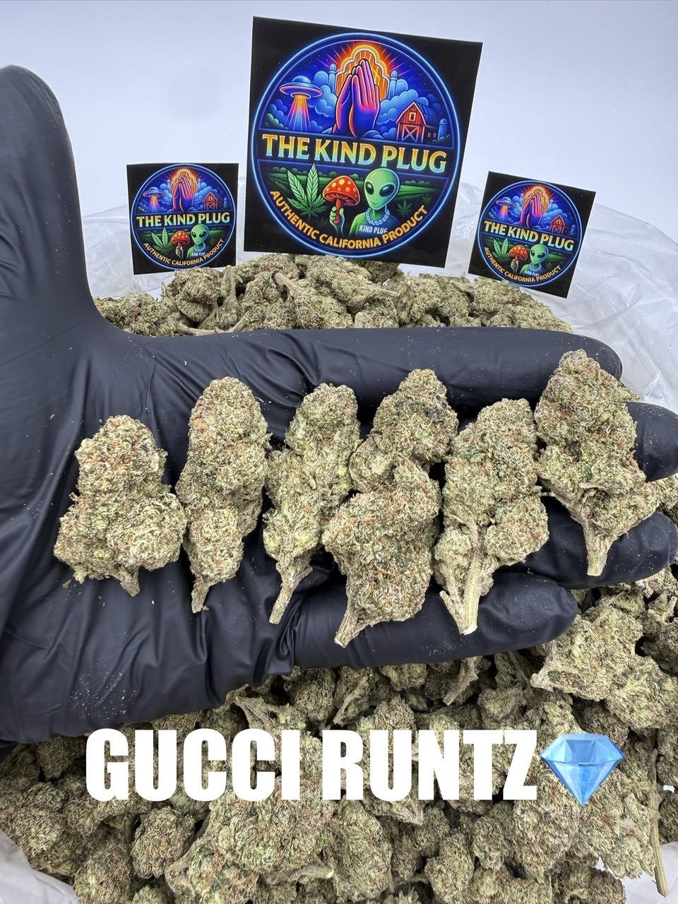 GUCCI RUNTZ Slide 1