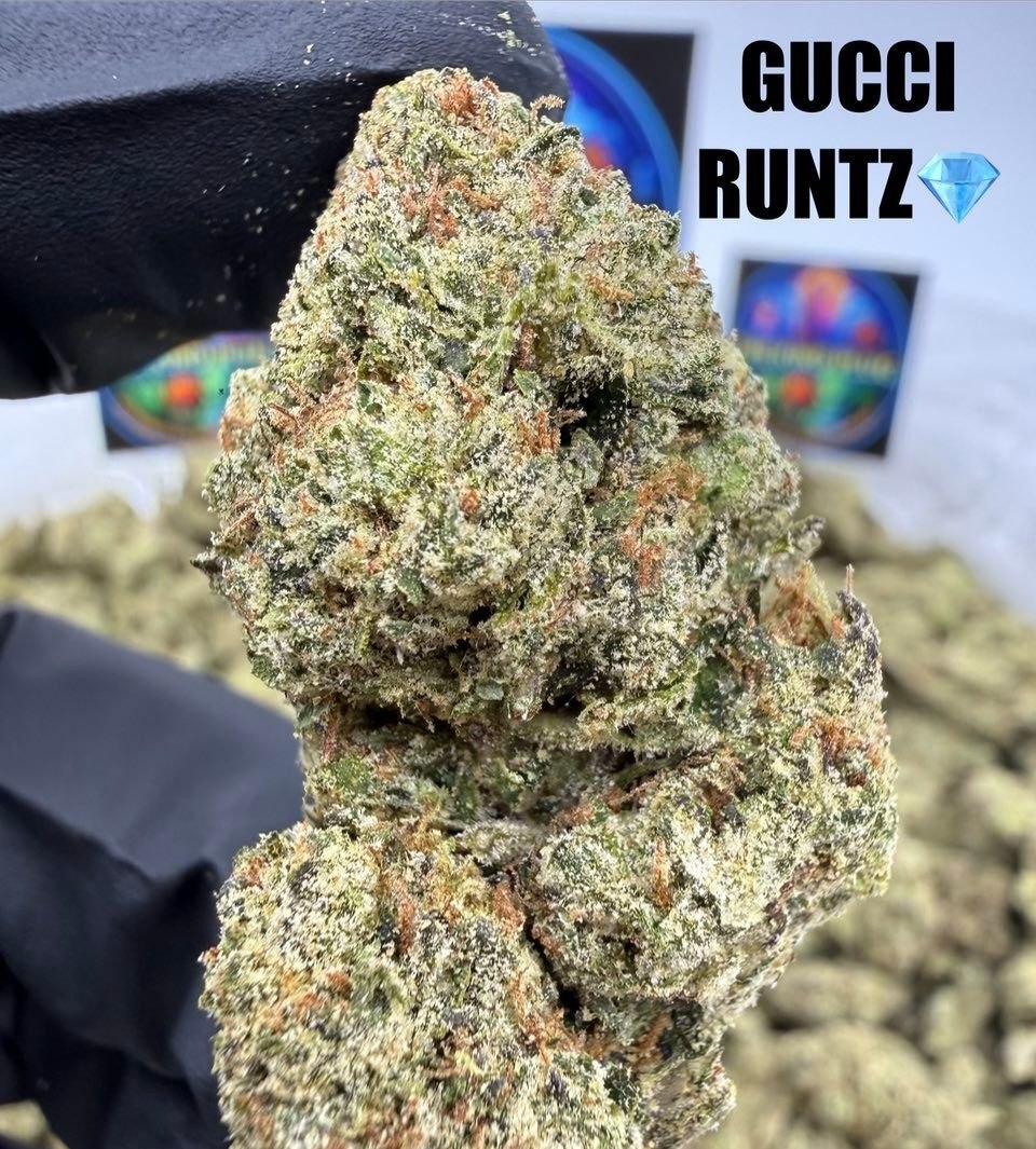 GUCCI RUNTZ Slide 2
