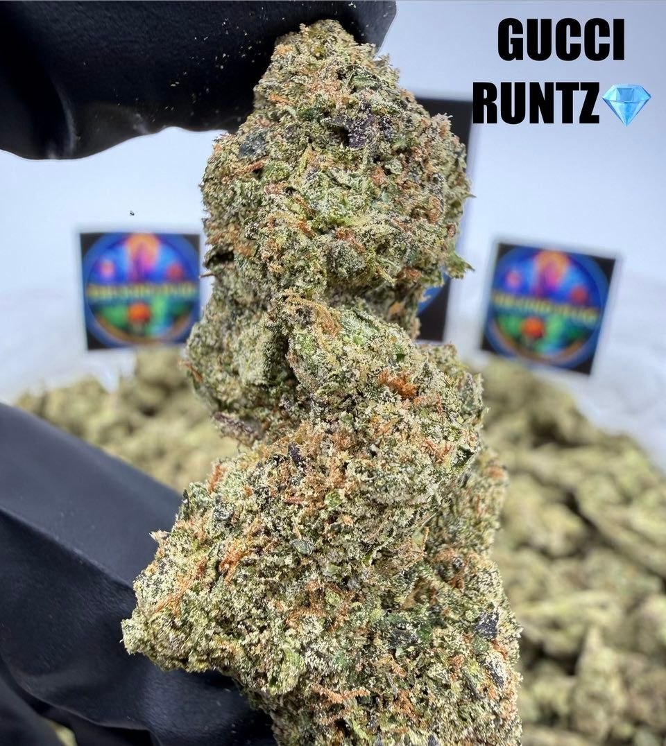 GUCCI RUNTZ Slide 3