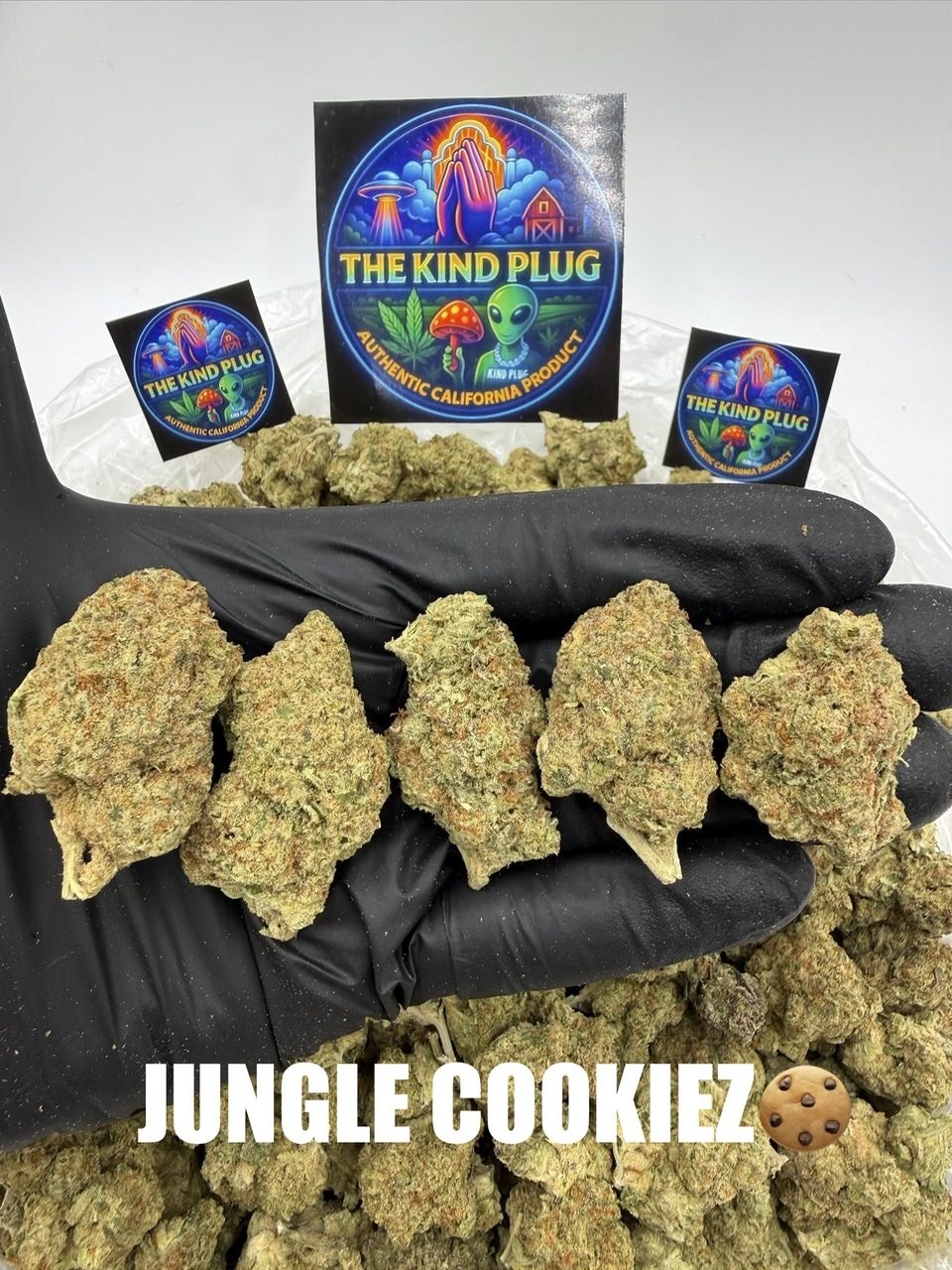 JUNGLE COOKIEZ Slide 1