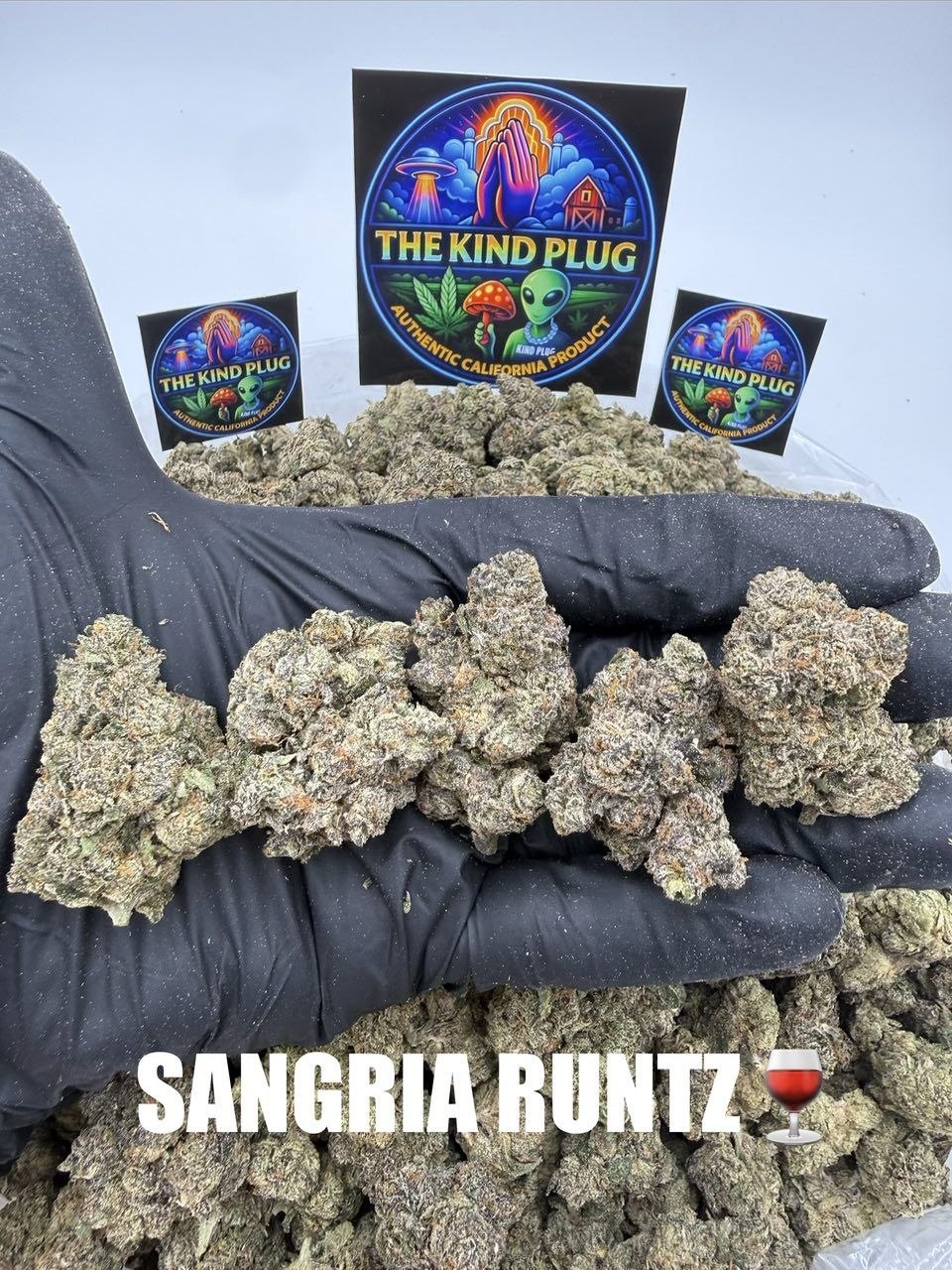 SANGRIA RUNTZ Slide 1