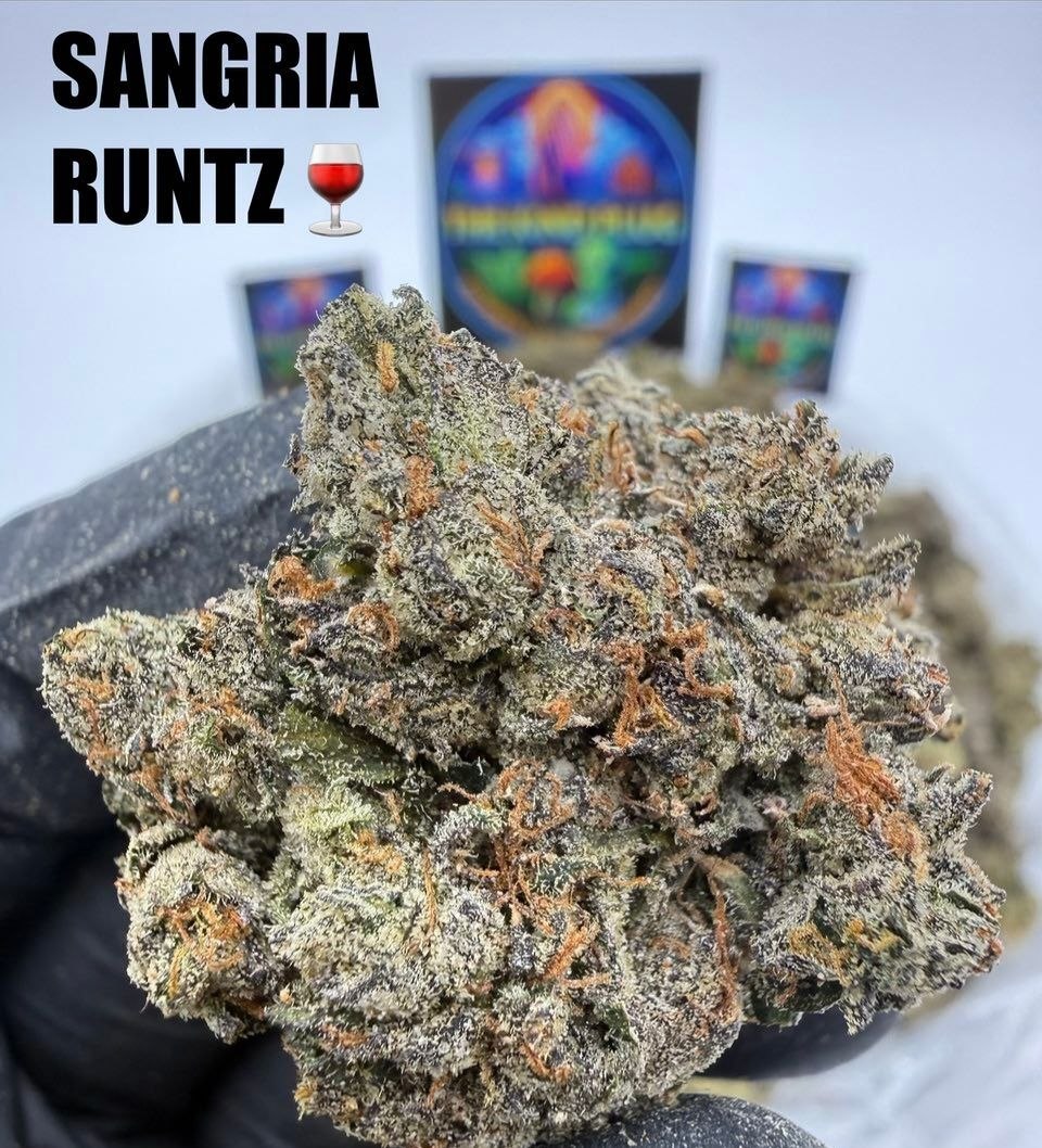 SANGRIA RUNTZ Slide 3