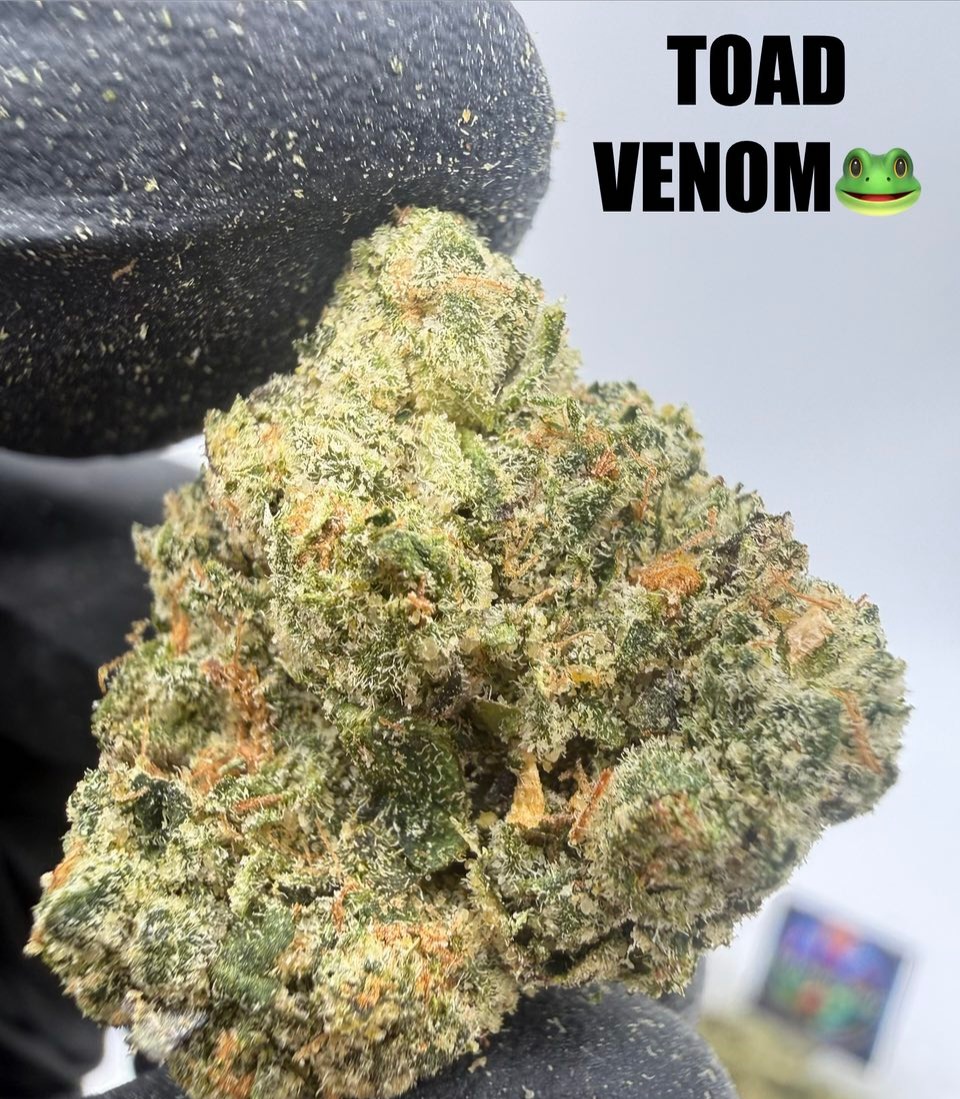 TOAD VENOM CANNABIS FLOWER Slide 3