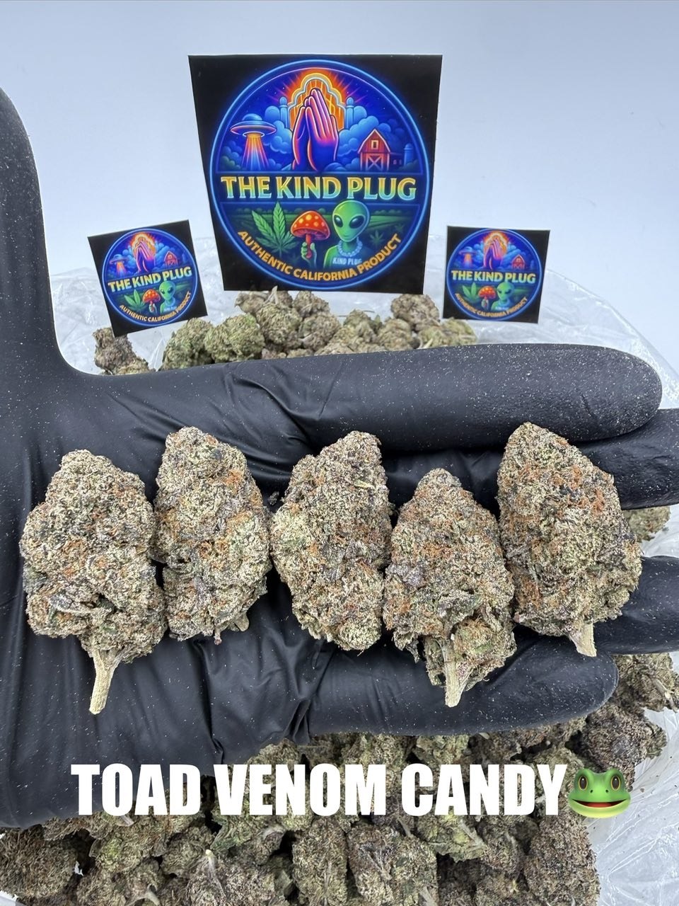 TOAD VENOM CANDY Slide 1