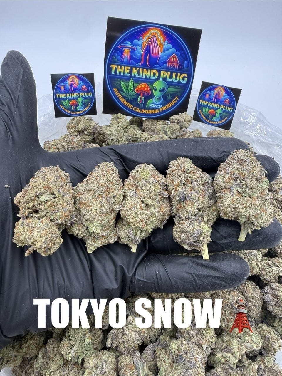 TOKYO SNOW Slide 1