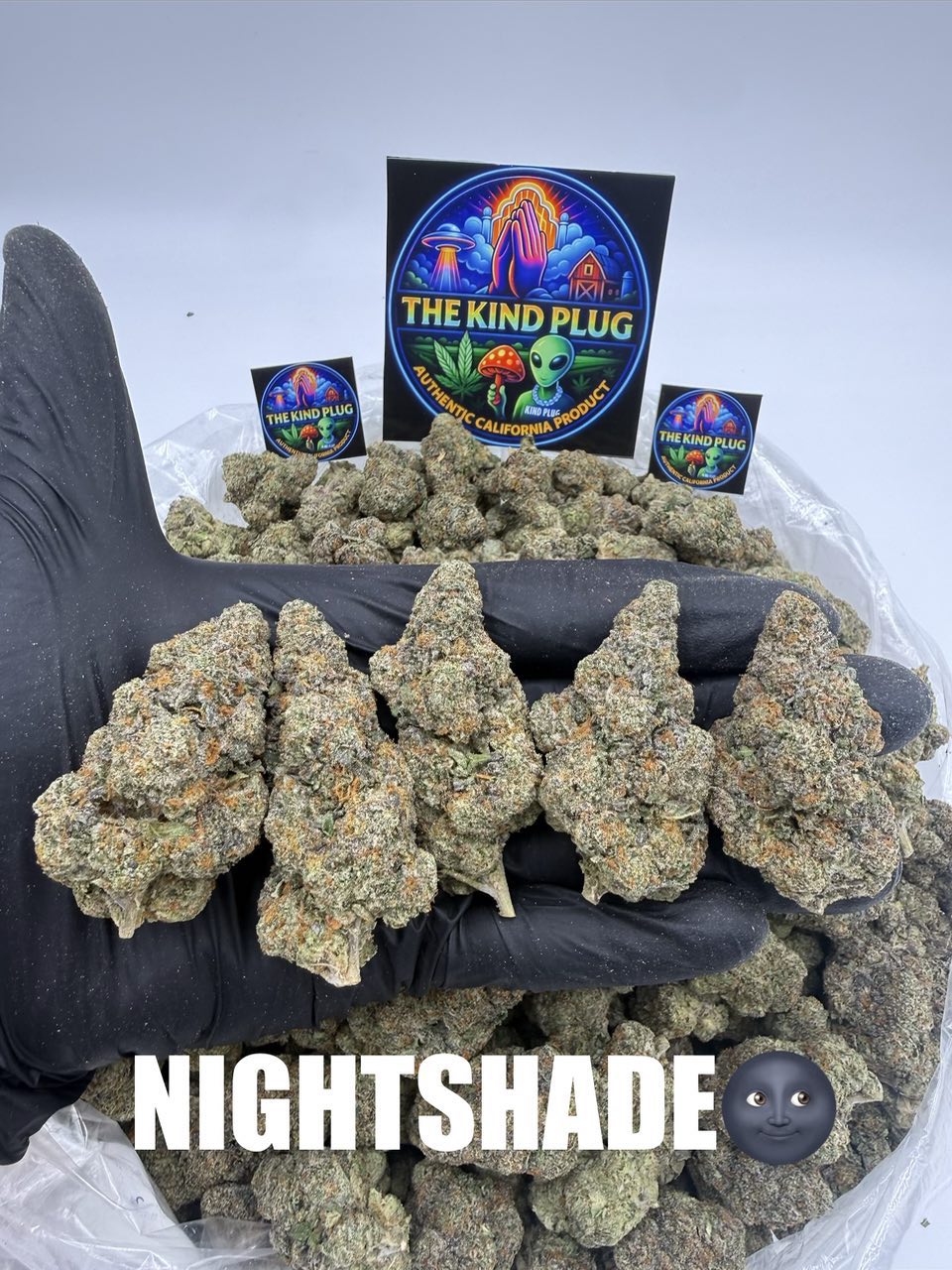  NIGHTSHADE Slide 1