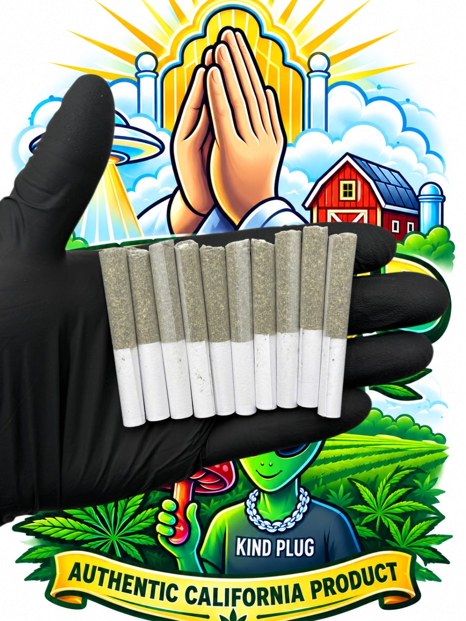 Backpack Boy Prerolls product image 1