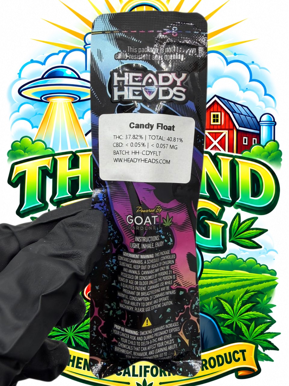 HEADY HEADS  product image 2