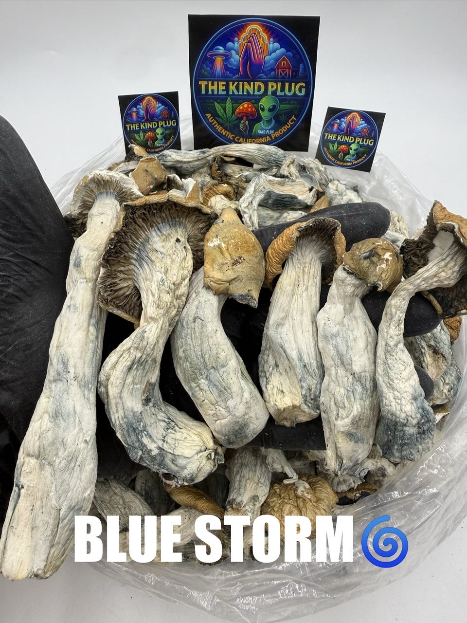 Blue Storm dried magic mushrooms strain