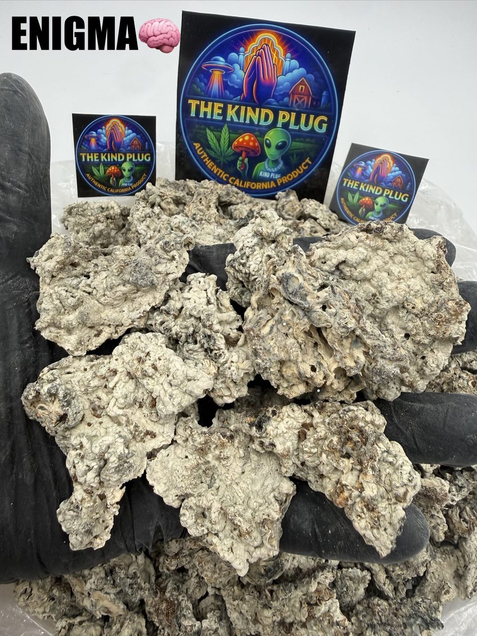 Enigma magic mushroom dense cluster view