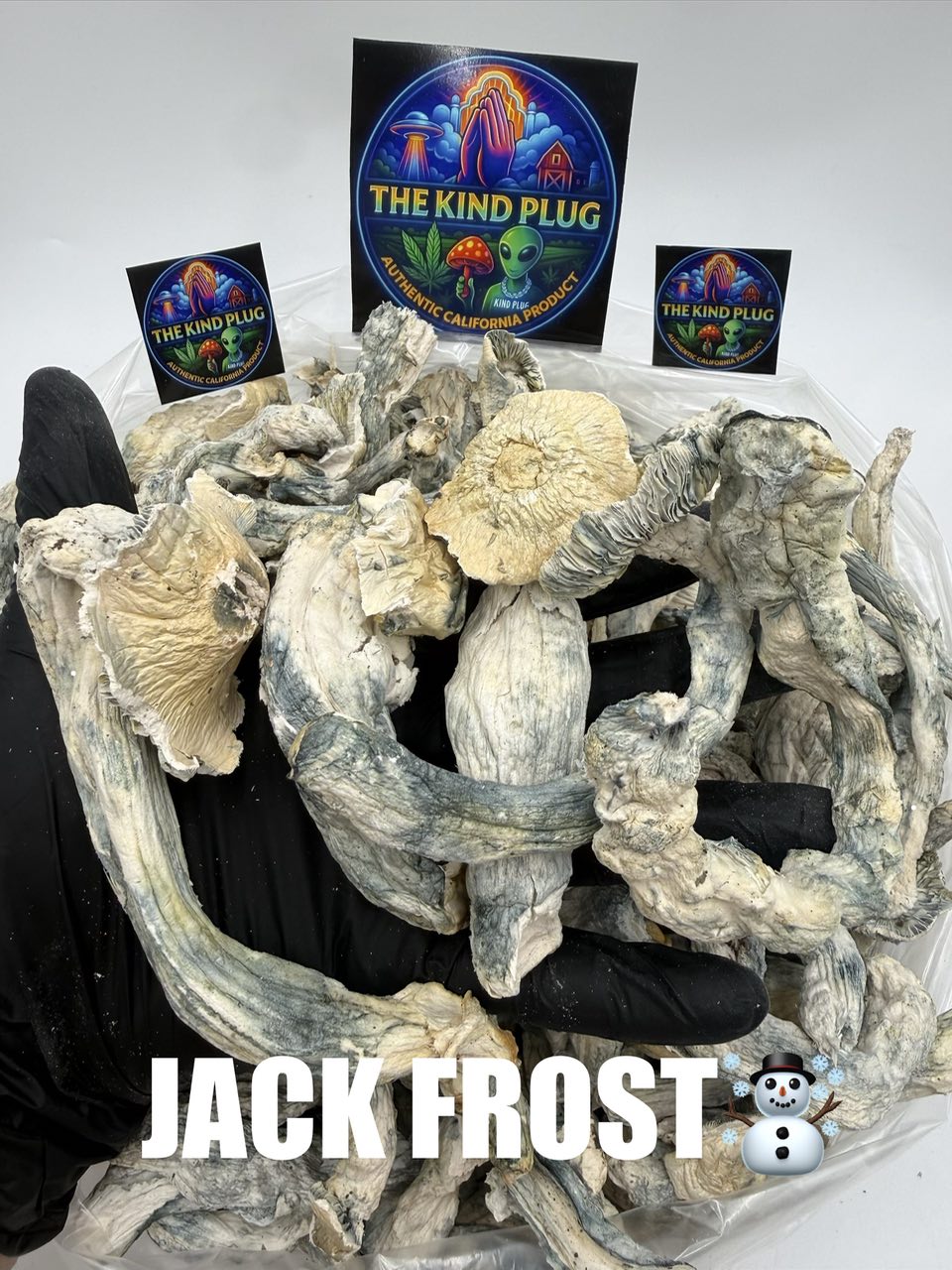 Jack Frost dried magic mushrooms strain