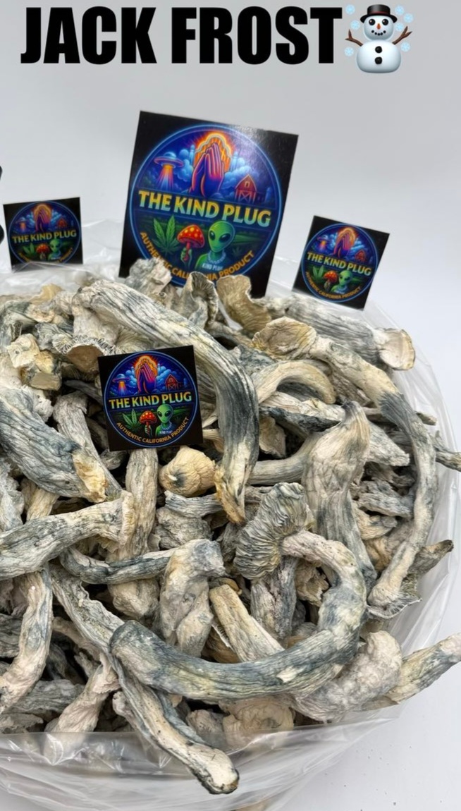 Jack Frost dried shrooms batch