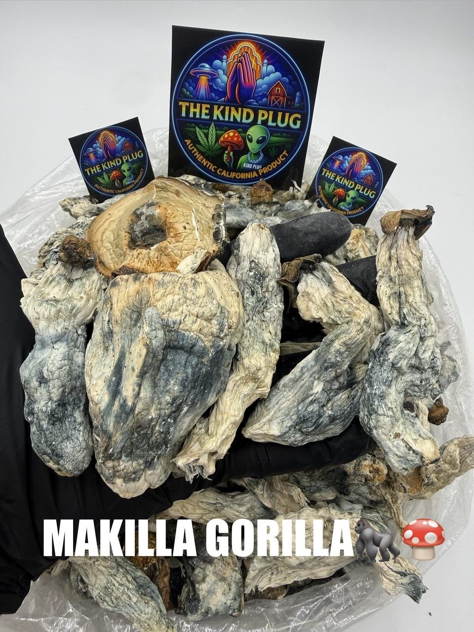 Makilla Gorilla Slide 1