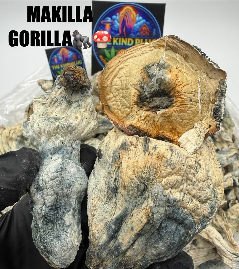 Makilla Gorilla Slide 2