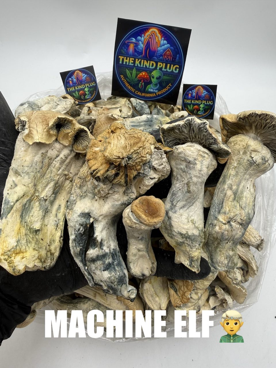 Machine Elf dried psilocybin mushrooms