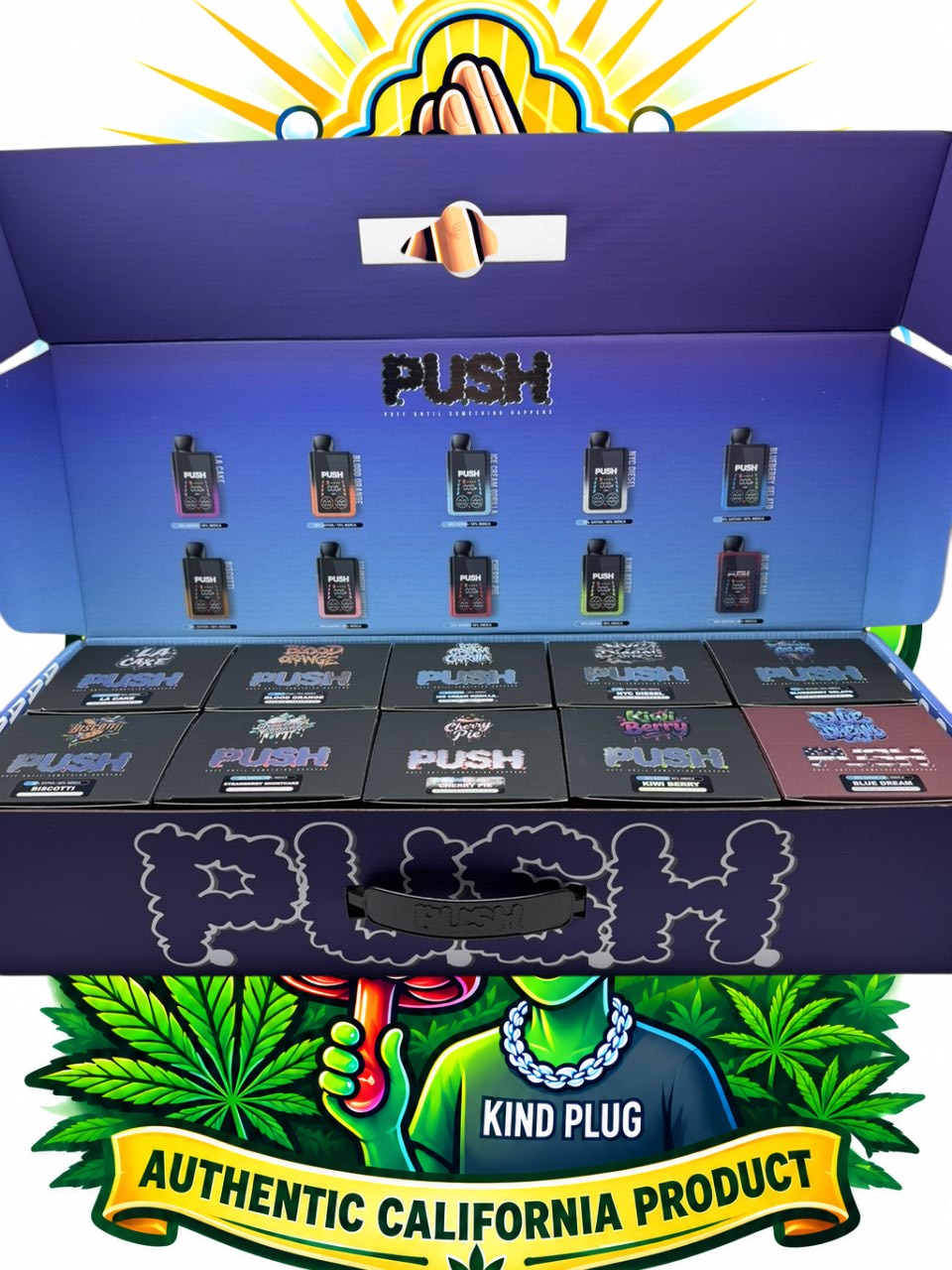 PUSH Disposable vape 3
