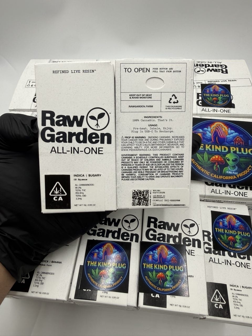 RAW GARDEN AIO 1G DISPOS Slide 2