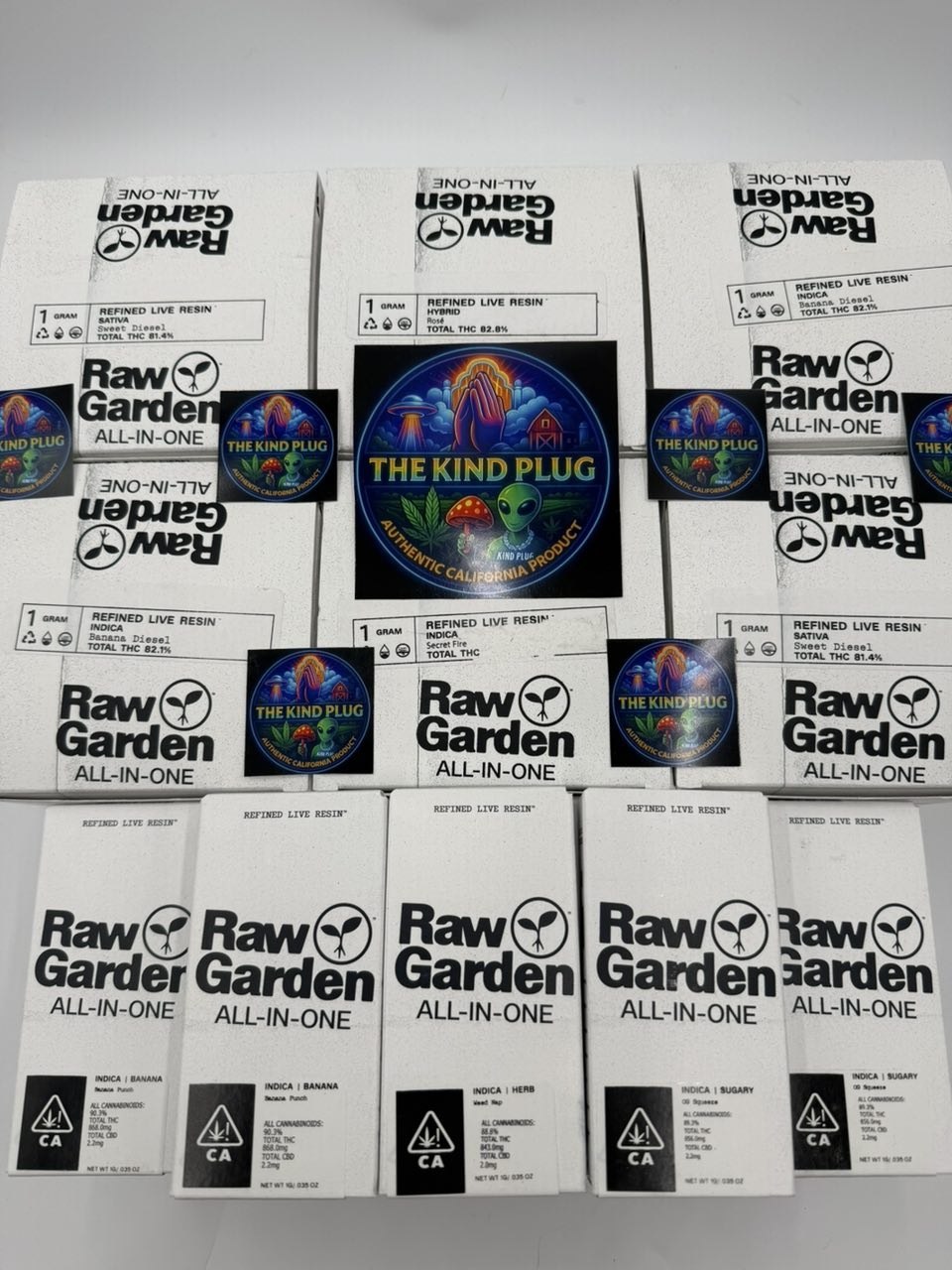 RAW GARDEN AIO 1G DISPOS Slide 3