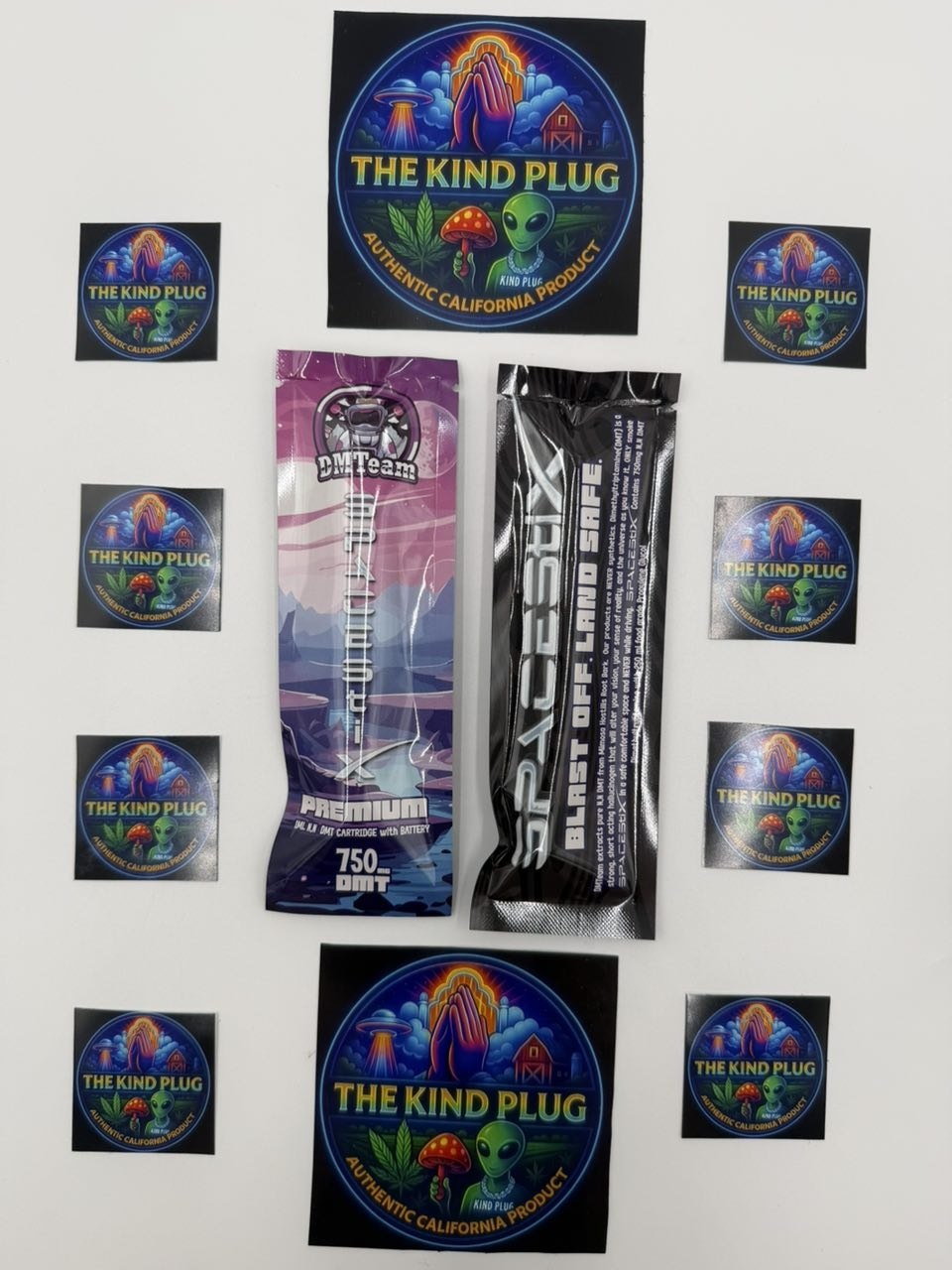 SPACESTIX 1G DMT DISPOS Slide 2